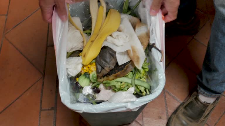 Best Property Management Cleanouts  in Millington, TN